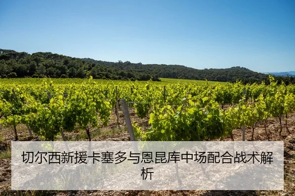 切尔西新援卡塞多与恩昆库中场配合战术解析